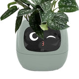 Pot de fleurs intelligent Adorable compagnon des plantes