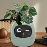 Smart flowerpot Adorable plant companion